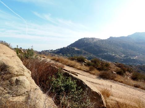 The weedy chaparral of the Santa Susana Mts. Every time it burns it gets a little worse. - grid24_12