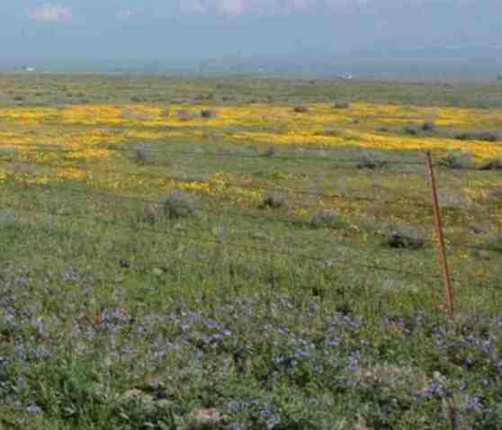 field in the valley