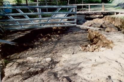 The drainage pipe  was too small to handle the creek. We had to walk the plank to get across the water.