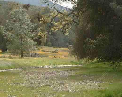 the chaparral plant community is in the background, foothill woodland in the foreground. This climate can be cold and hot, in the same day.