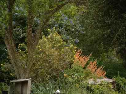 For an easy carefree landscaping do not get too far off your climate and plant community.