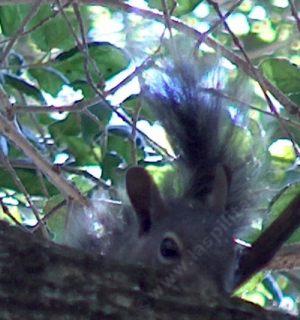 I've got my eye on you. When are you going to plant the juicy stuff?