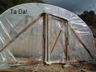 Ta Da! A greenhouse