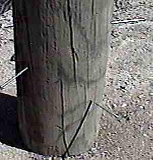 picture of a post with nails