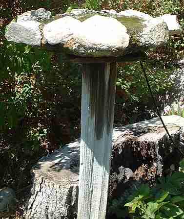 This stone birdbath is especially popular with sparrows
