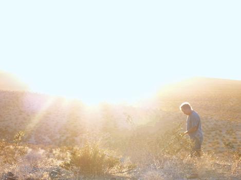 Bert looking at plants in the desert. - grid24_12 Bert looking at plants in the desert. - grid24_12