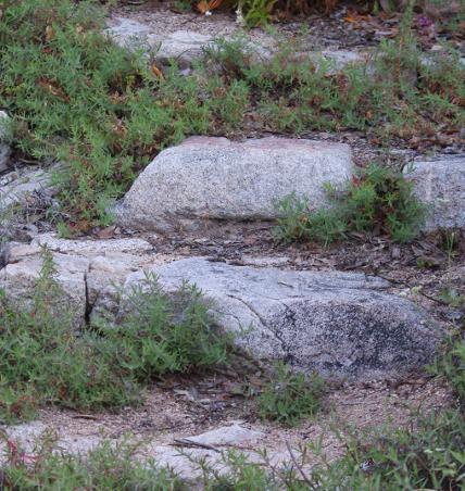 Making Garden Steps