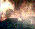 This was the back of the nursery in 1979, the first of three fires over the years.
