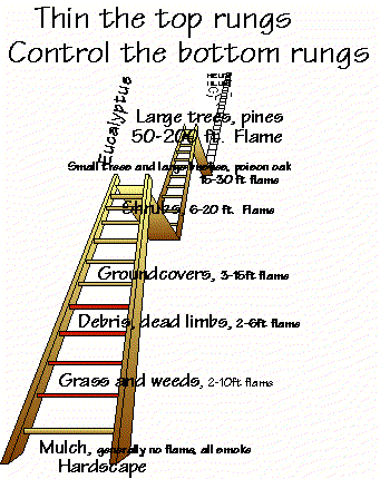 A crude fire ladder.