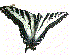 Butterfly Garden