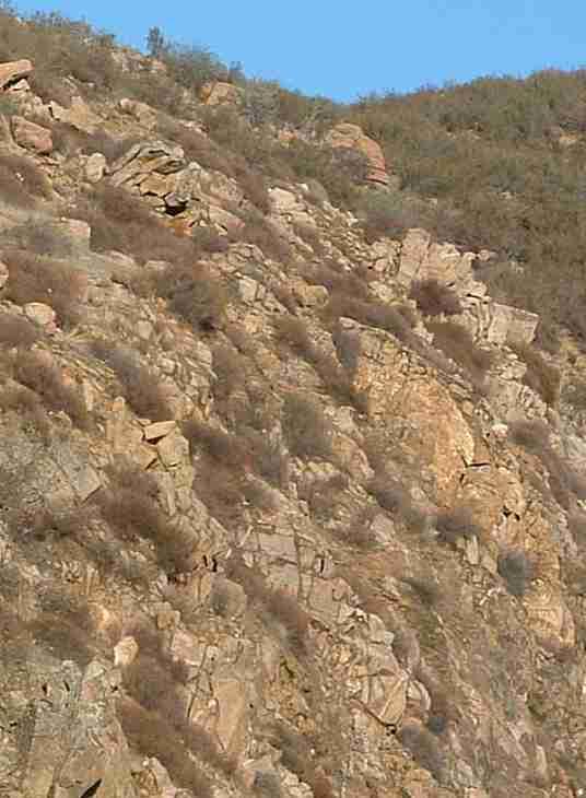 In many of California's slope you have a rock garden. As long as there are no weeds, the slope is fine. Do not plant or seed.