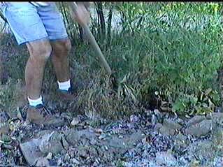 Weeding the garden is fun?