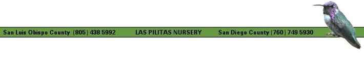 Las Pilitas: San Luis Obispo and San Diego Countries