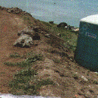 John was happy among the weeds, known as the room with a view, in scenic California.