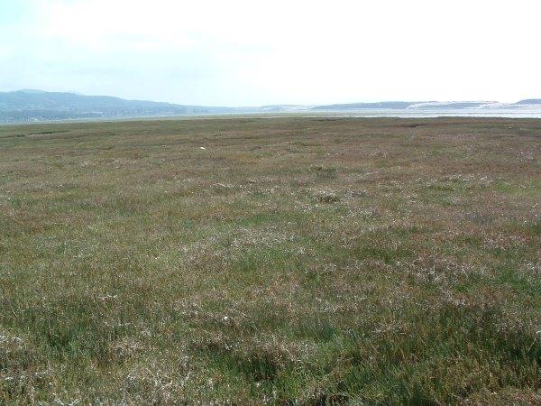 Native Plant Habitats Of California